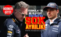 Formula 1 Dünyası Sarsıldı: Horner Red Bull'dan Ayrıldı!