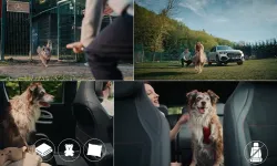 Mercedes-Benz Türkiye’den Köpeklerle Güvenli Yolculuk Rehberi