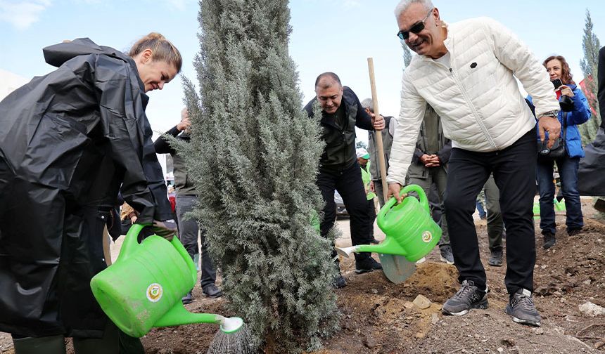 ALJ Türkiye 310 Bin Fidanı Toprakla Buluşturdu
