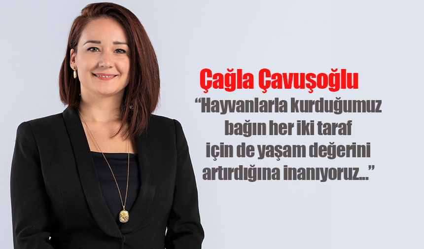 Cagla Cavusoglu