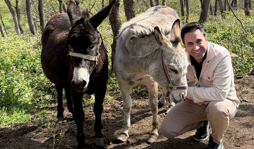 Doğadaki Çaresiz Tüm Hayvanlar Ekol Lojistik Projeksiyonunda